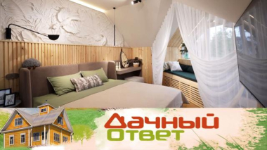 Джунгли на чердаке с мягким дневным светом 28.05.2026