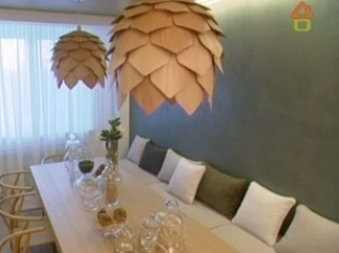 Кухня с гигантскими шишками 16.03.2013