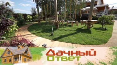 Веревочный парк в березовой роще и открытая терраса на сваях 09.09.2018