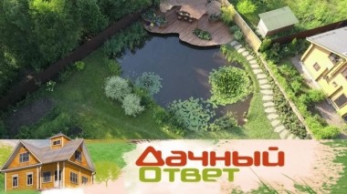 Живописная пристань на берегу пруда 06.07.2019