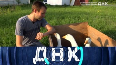 «Бесплодный фермер стал отцом?» 18.06.2024