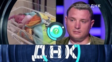 От кого родила ночная бабочка? 27.11.2018