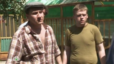 Кто стрелял во дворе дома разрывными пулями по ручным голубям? 02.10.2013