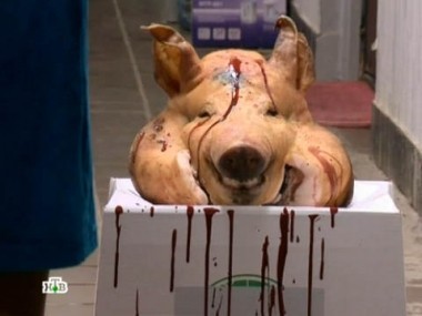 Они взяли кредит, чем подписали себе приговор 24.04.2012