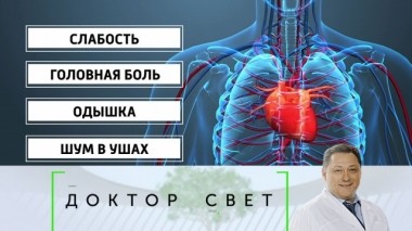 Все об анемии, отношения с нарциссом и утомляемость как симптом заболеваний 19.12.2019