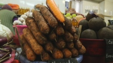 ГМО - за и против, тест на гуманность и действенные способы бросить курить 25.02.2017