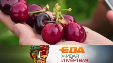 Чем обрабатывают черешню и как ее выбирать, вкус и польза цесарки, а также - сколько стоит хороший кетчуп 29.06.2019