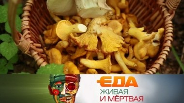 Главная польза лисичек, все о треске и ее субпродуктах, разница между дорогим и дешевым сахарным печеньем 13.09.2019