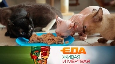 Из чего делают корм для питомцев, какие продукты вызывают рак и чем полезна папайя 26.05.2018