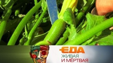 Как не отравиться нитратами в кабачках, кто выращивает экзотику в российских садах и полезна ли мойва? 09.09.2017