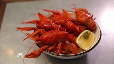 Как правильно выбирать раков, полезна ли холодная диета и на что идут креативные повара, чтобы поразить гурманов? 27.05.2017