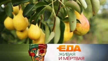 Как выбирать груши, экспертиза халвы и продукты, которые несправедливо считают вредными 06.10.2018