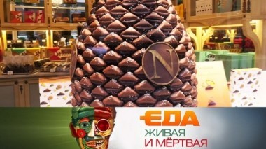 Как выбрать хороший шоколад, можно ли лечиться содой и как часто можно есть молодые сыры? 08.02.2019