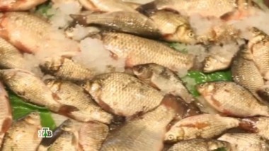 Какая рыба полезнее - пресноводная или морская, питье в жару и блюда с обманчивыми названиями 24.06.2017