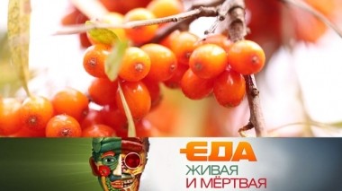 Лечебные свойства облепихи, калорийность кофейных напитков, ценность и вкус консервированного тунца 30.11.2019