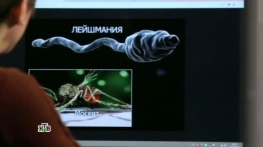 Мифы и правда о гельминтах, чем опасны экзотические фрукты и как правильно читать этикетки на продуктах 25.03.2017