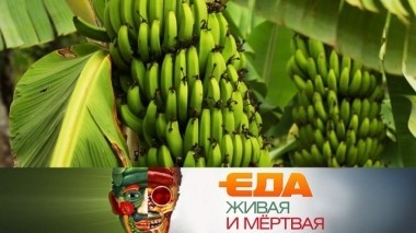 Неужели бананы опасны, все о горчице и полезные кухонные гаджеты 27.01.2018