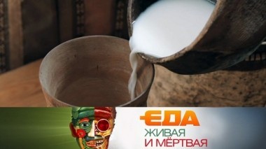 Польза кисломолочных продуктов, необычные рецепты из грибов и секреты смородины 29.09.2018