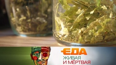 Реальная польза травяных настоев и выбор мороженого 15.06.2019