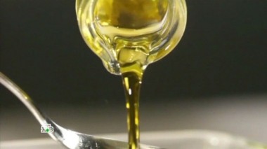 Сбор оливок и все об оливковом масле, секреты от поваров и правильный рецепт голубцов 11.03.2017