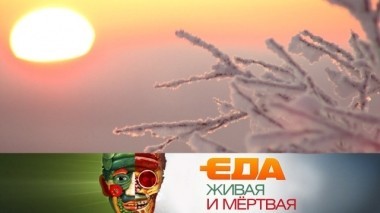 Специальный зимний выпуск 01.12.2018