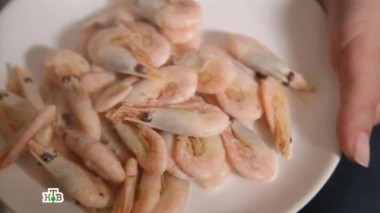 Все о креветках, спортивное питание, какие орехи полезны 16.04.2016