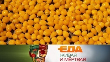 Все о продуктах из кукурузы, 5 полезных десертов, влияние черники на зрение и где содержится холестерин 11.11.2017