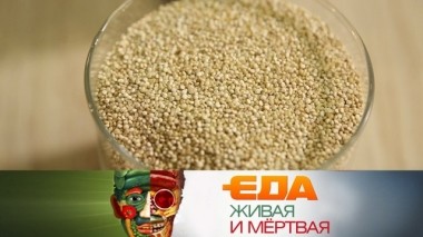 Вся польза киноа, плавленый сыр из отходов и переоцененные виды сахара 04.10.2019