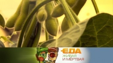 Вся правда о сое, есть ли польза в иван-чае и 5 недооцененных функций кухонной техники 21.10.2017