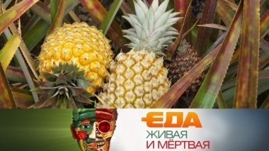 Вся правда об ананасах, 5 самых опасных способов приготовить еду и польза кедровых орехов 02.12.2017