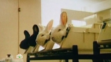 Запах боли 13.08.2015