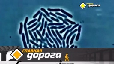 Борьба с микробами в машине и мастер-класс для байкеров 22.06.2019