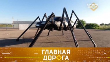 Автомобиль-паук, приговоры для матерей-виновниц ДТП и тест-драйв Tesla 13.08.2020