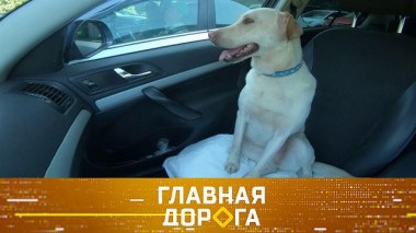 Помощь запертым в авто животным, вместимость Lada Largus и идеальный разворот на перекрестке 30.06.2023