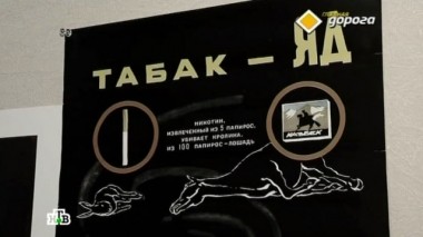 Курение за рулем, сбежал по амнистии, дорожная модернизация и отпор неприличной краске 01.03.2014