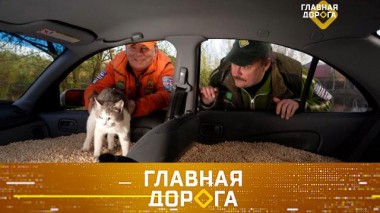 Необычные способы высушить салон авто, BMW X3 vs Mercedes GLK и безнаказанный виновник ДТП 07.06.2024