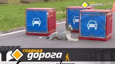 Объезд животных на трассе, мойка самообслуживания и тест &Scaron;koda Superb 09.05.2019