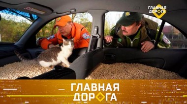 Просушка авто и покупка «утопленника», выгодная волокита для виновника ДТП и смена тормозной жидкости 14.08.2024