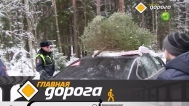 Транспортировка елки, новогодняя баня для машины и автоприемы против 30.12.2017