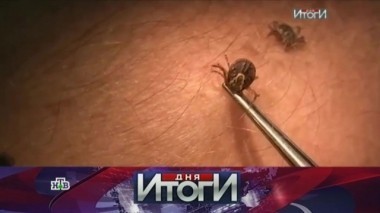 12 мая 2016 года 12.05.2016