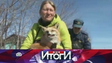 13 апреля 2016 года 14.04.2016