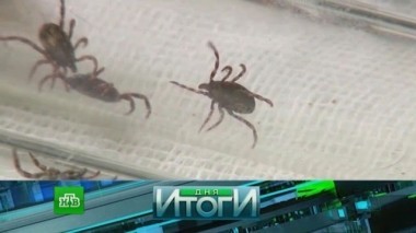 17 мая 2017 года 18.05.2017