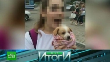 20 октября 2016 года 21.10.2016