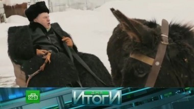 21 ноября 2017 года 22.11.2017