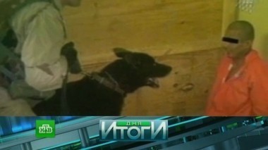 26 января 2017 года 27.01.2017