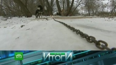 30 марта 2017 года 31.03.2017