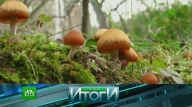 31 августа 2016 года 31.08.2016