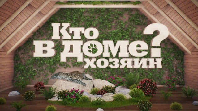 Кто в Доме хозяин?