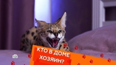 Выпуск четырнадцатый 20.04.2018