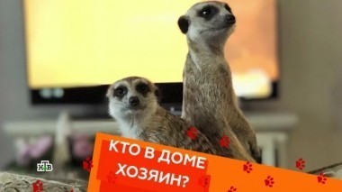 Выпуск десятый 23.03.2018